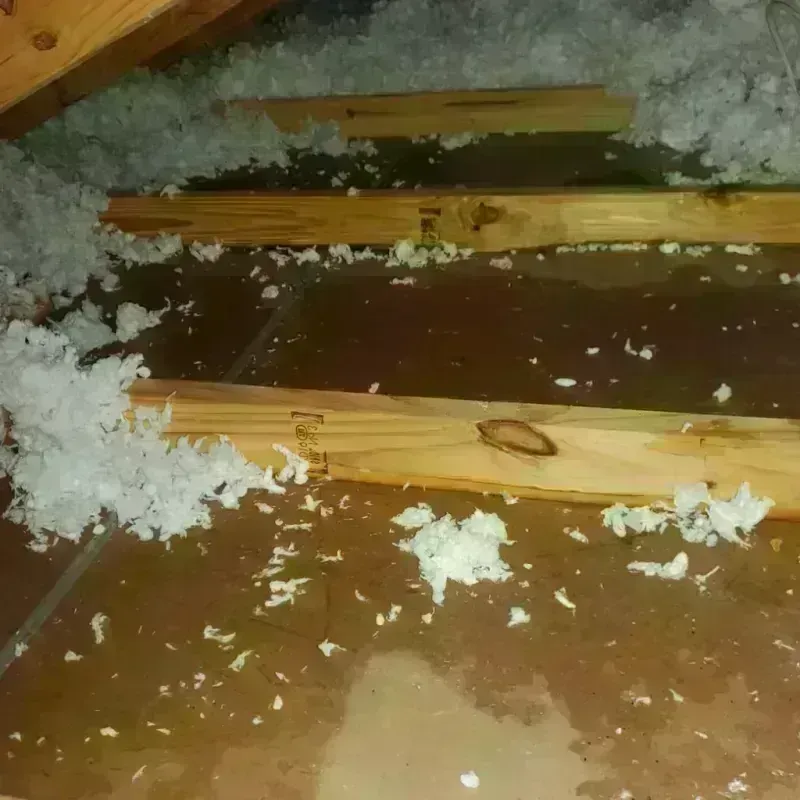 Attic Water Damage in Salem, NH